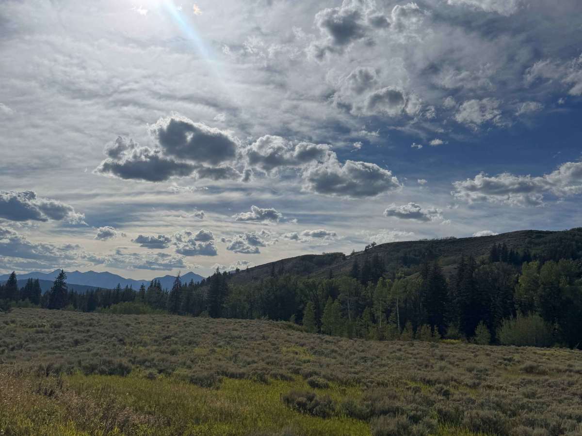 Ditch Creek Road photo 6