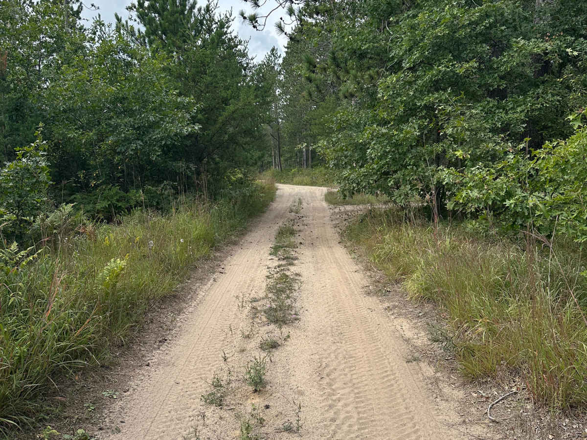 Iosco Road trail photo