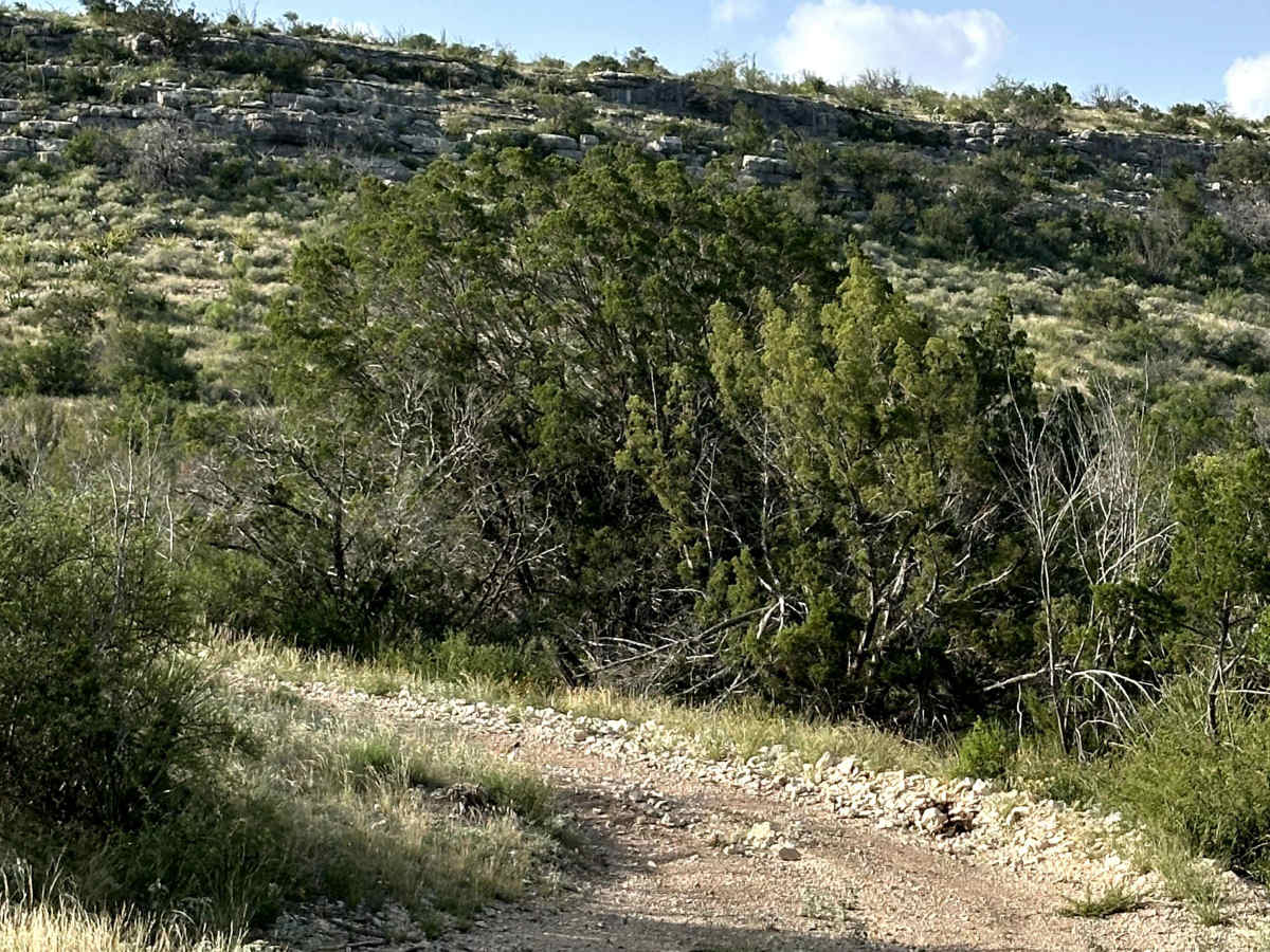 Escondido Trail - V36 photo 5