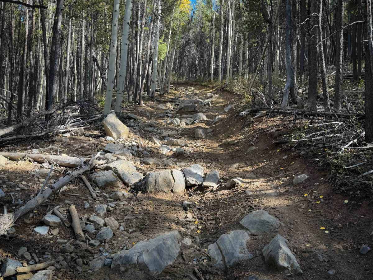 North Bald Pitkin Cut-Off Trail - FS 649  photo 4