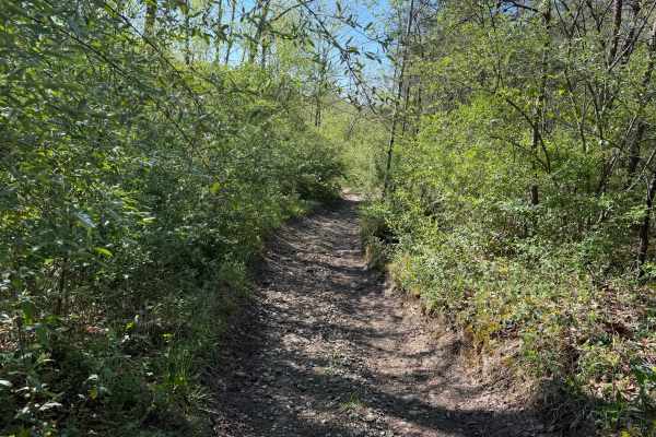Bear Claw Trail