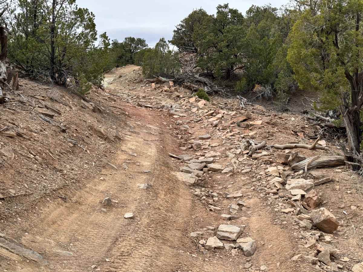 BLM 929 photo 3