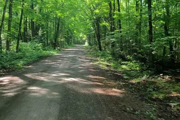 Sturgeon River Road - FSR 2229
