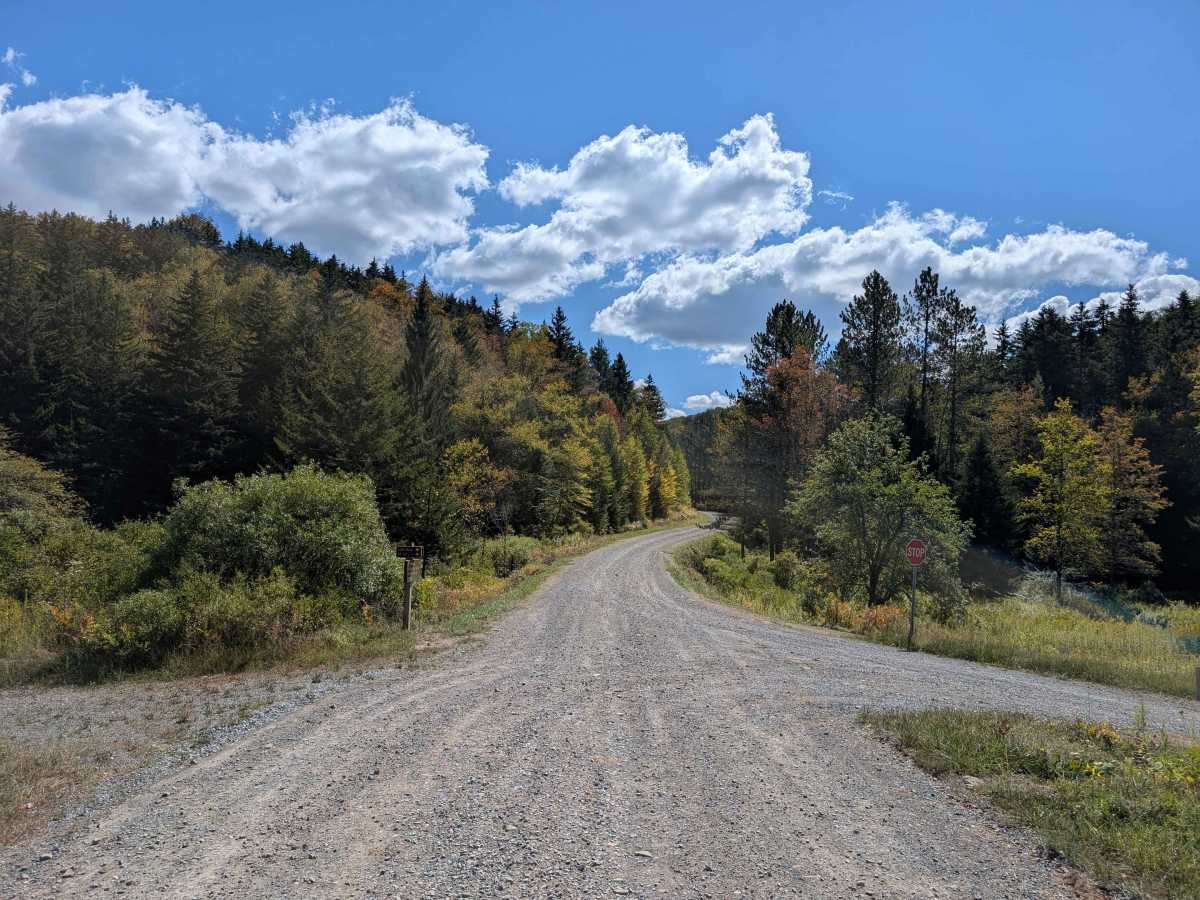 Long Run photo 3