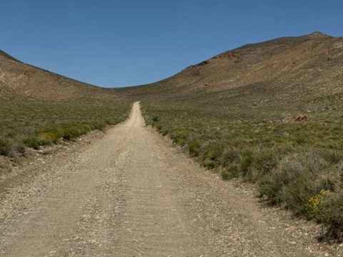 Skidoo Road photo 4