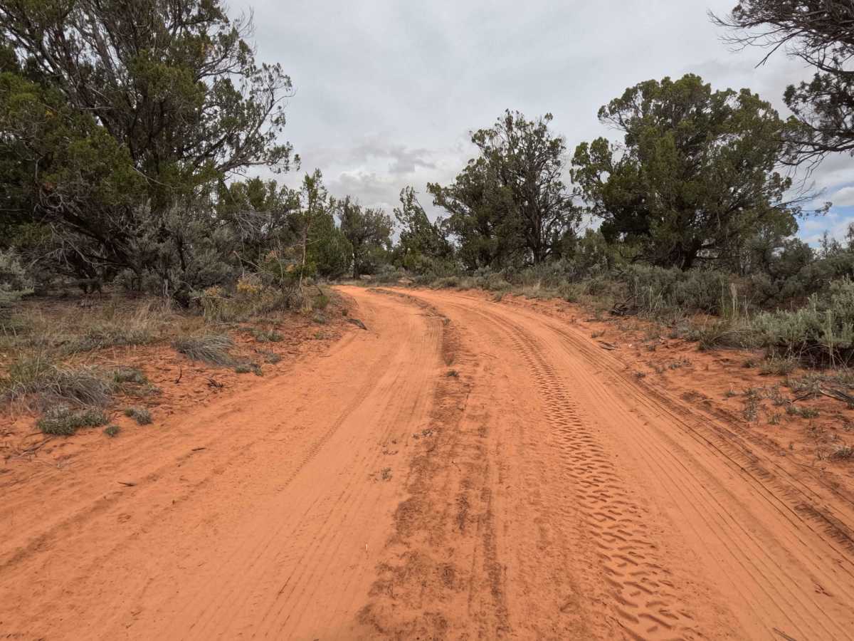 BLM 64E (1155) photo 5