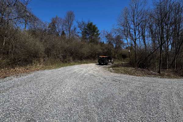 Logway Run Trail