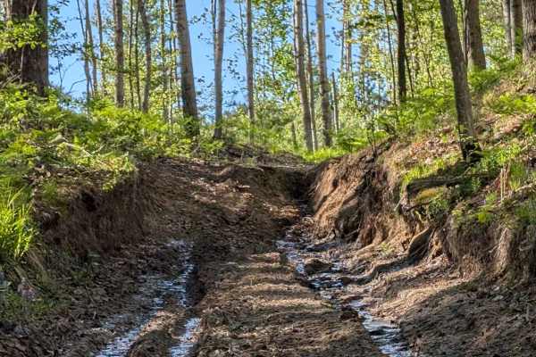 Riverview Cut