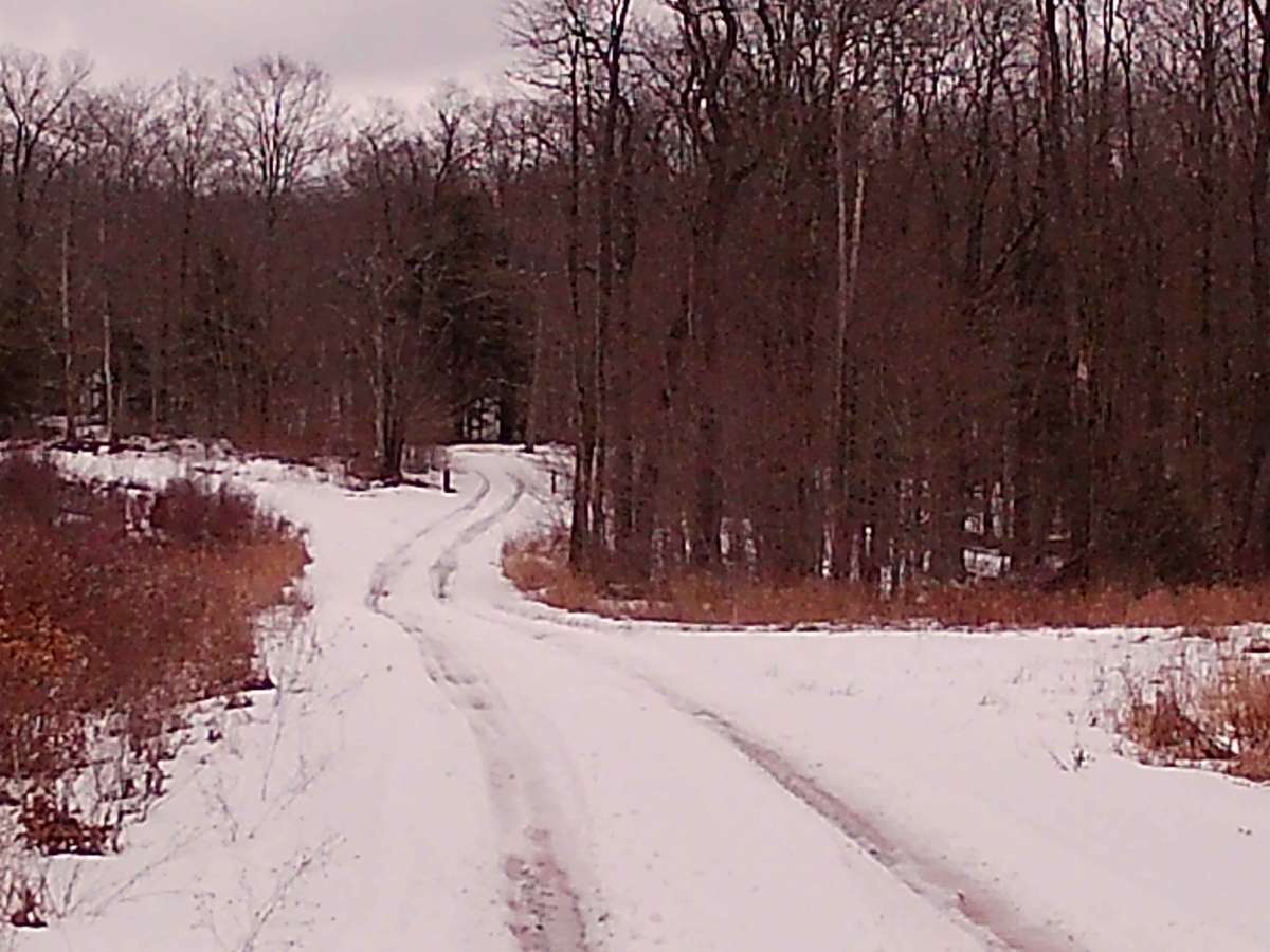 New Pond Road photo 2