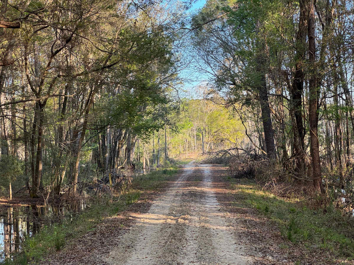 Flowing Well Road trail photo