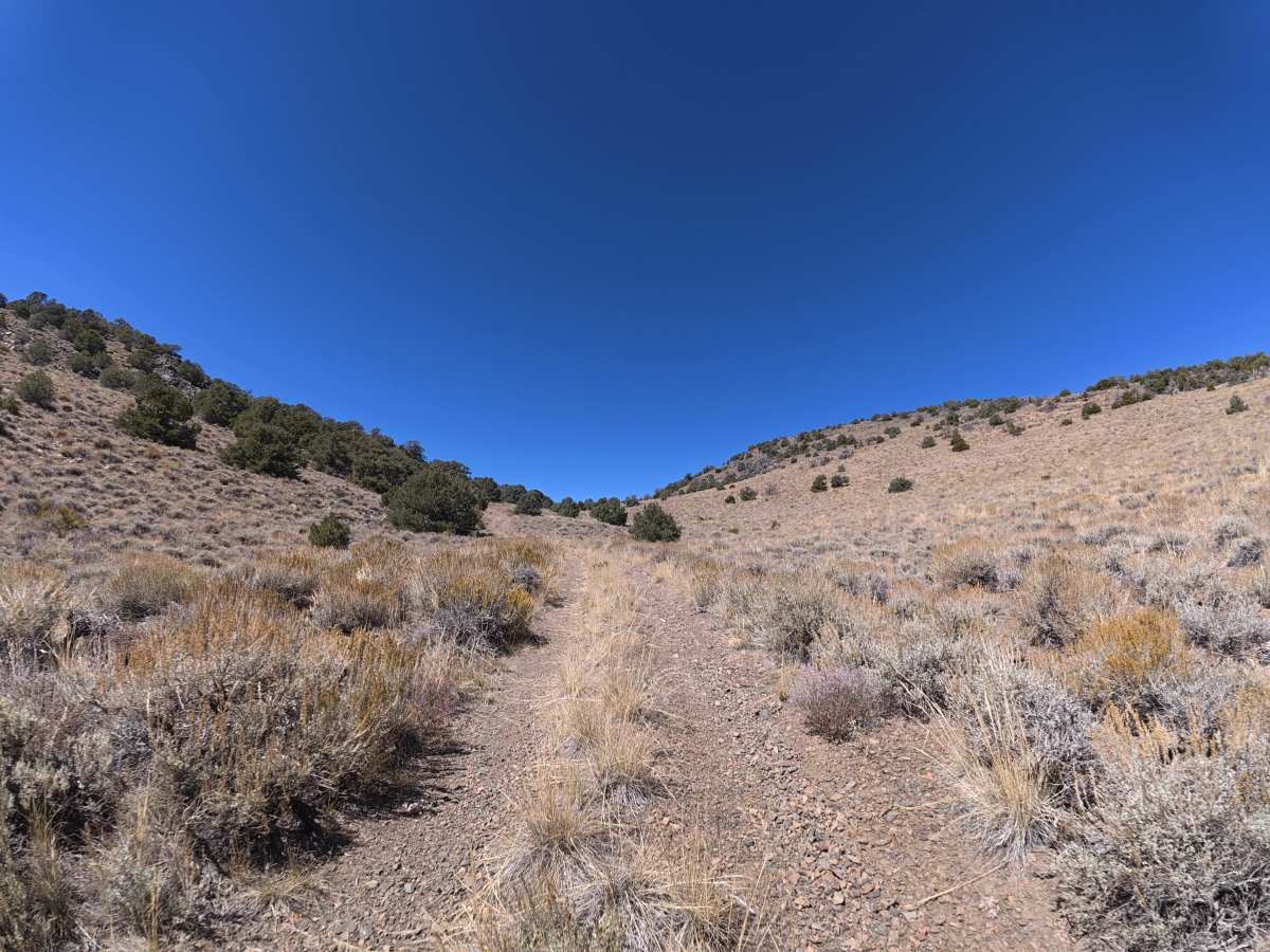 FS 9S109H trail photo