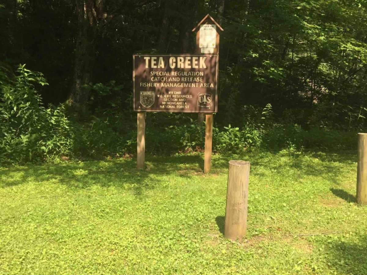 Trans American Trail WV photo 3