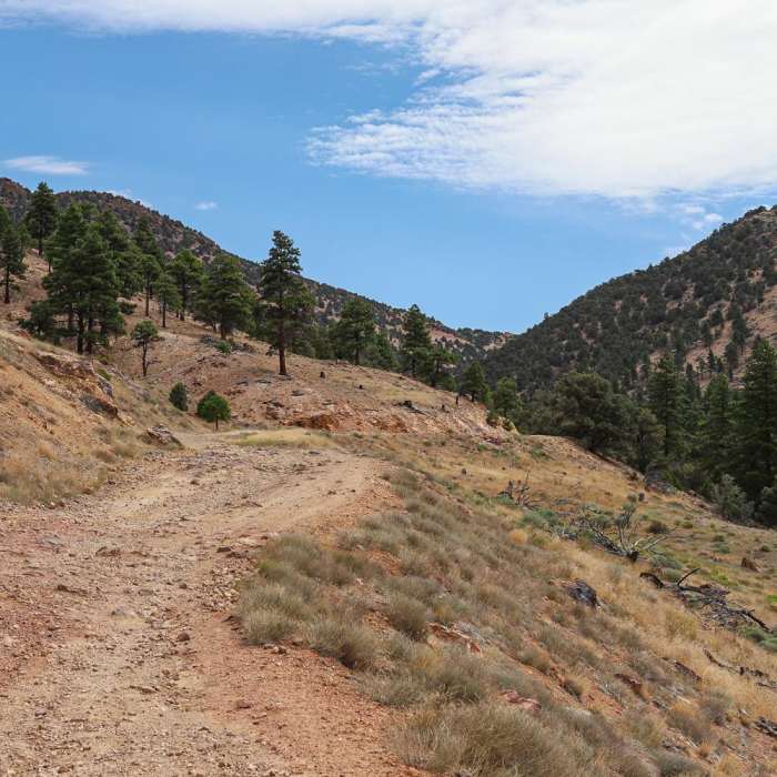 Near Virginia City Toll Road Hike