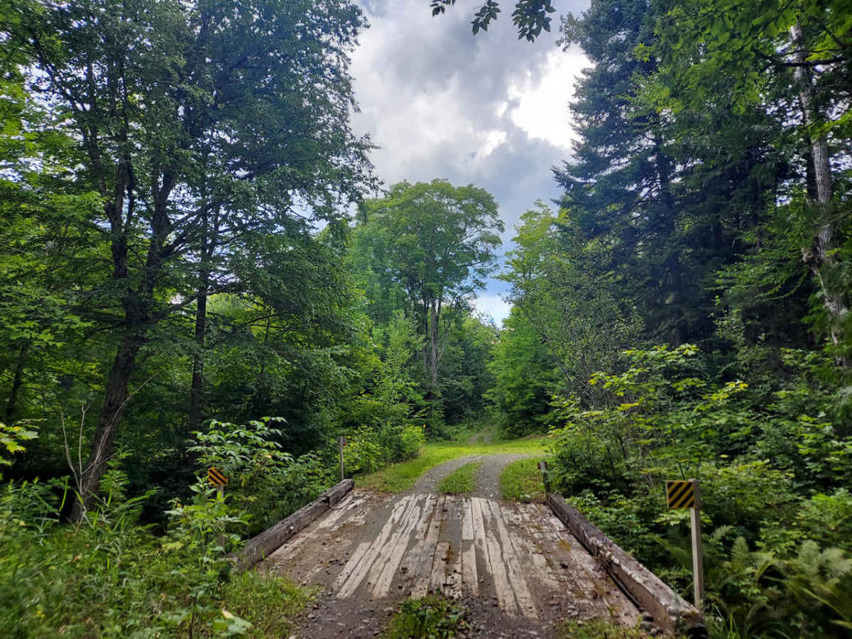 Lean-To Ridge Trail photo 3