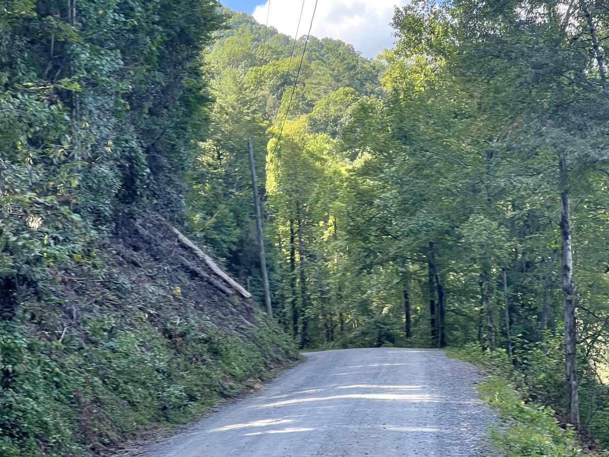 Wilson Creek trail photo