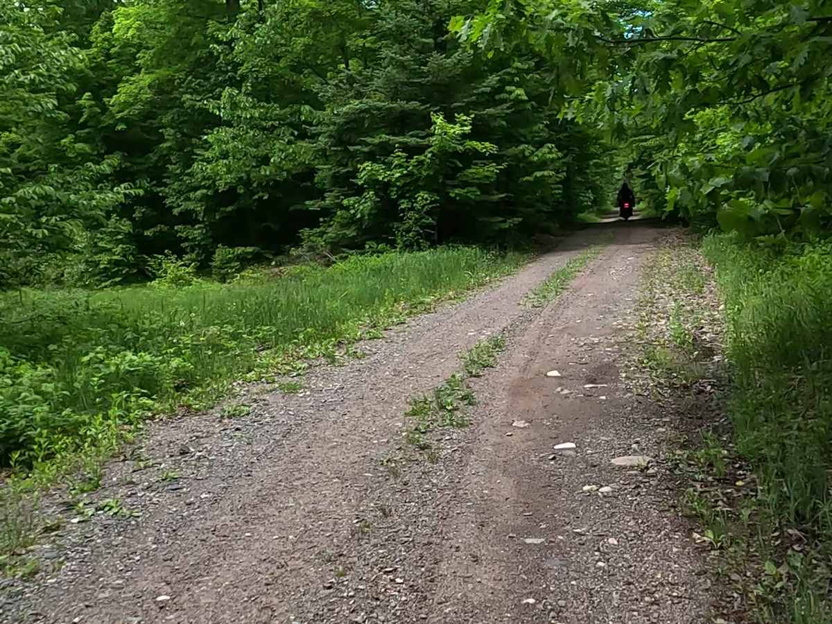 Red Road photo 6