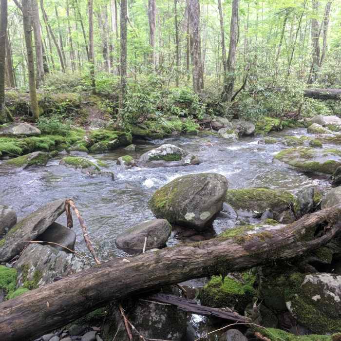 Slickrock Creek Near Slickrock and Citico Wilderness Loop
