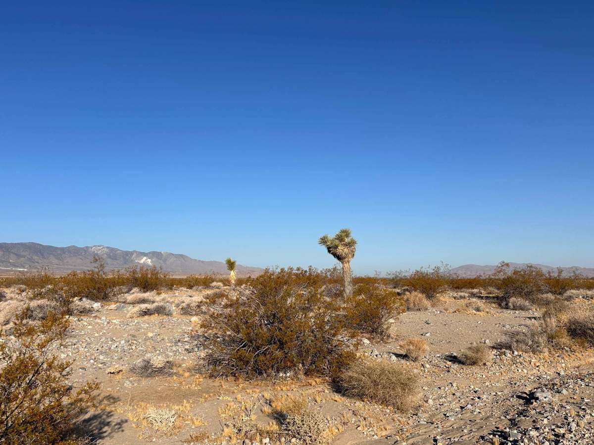 Quartz Flats photo 6