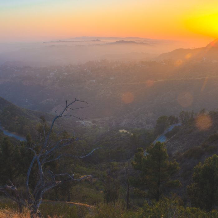 From the summit of Mount Hollywood in Griffith Park. Near Mt. Hollywood from Old Zoo