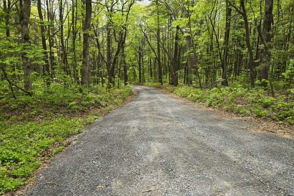 Oswald Dome Road
