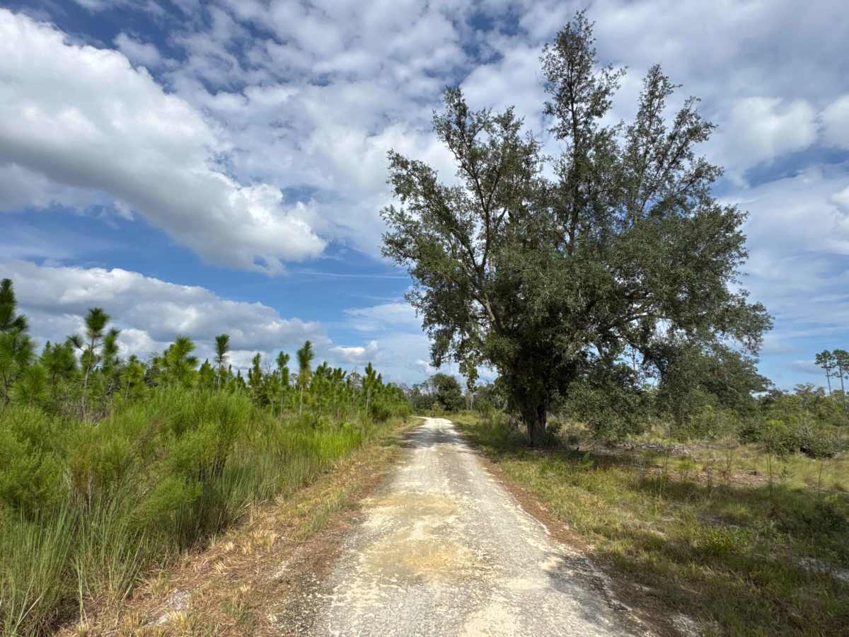 Quail Road trail photo