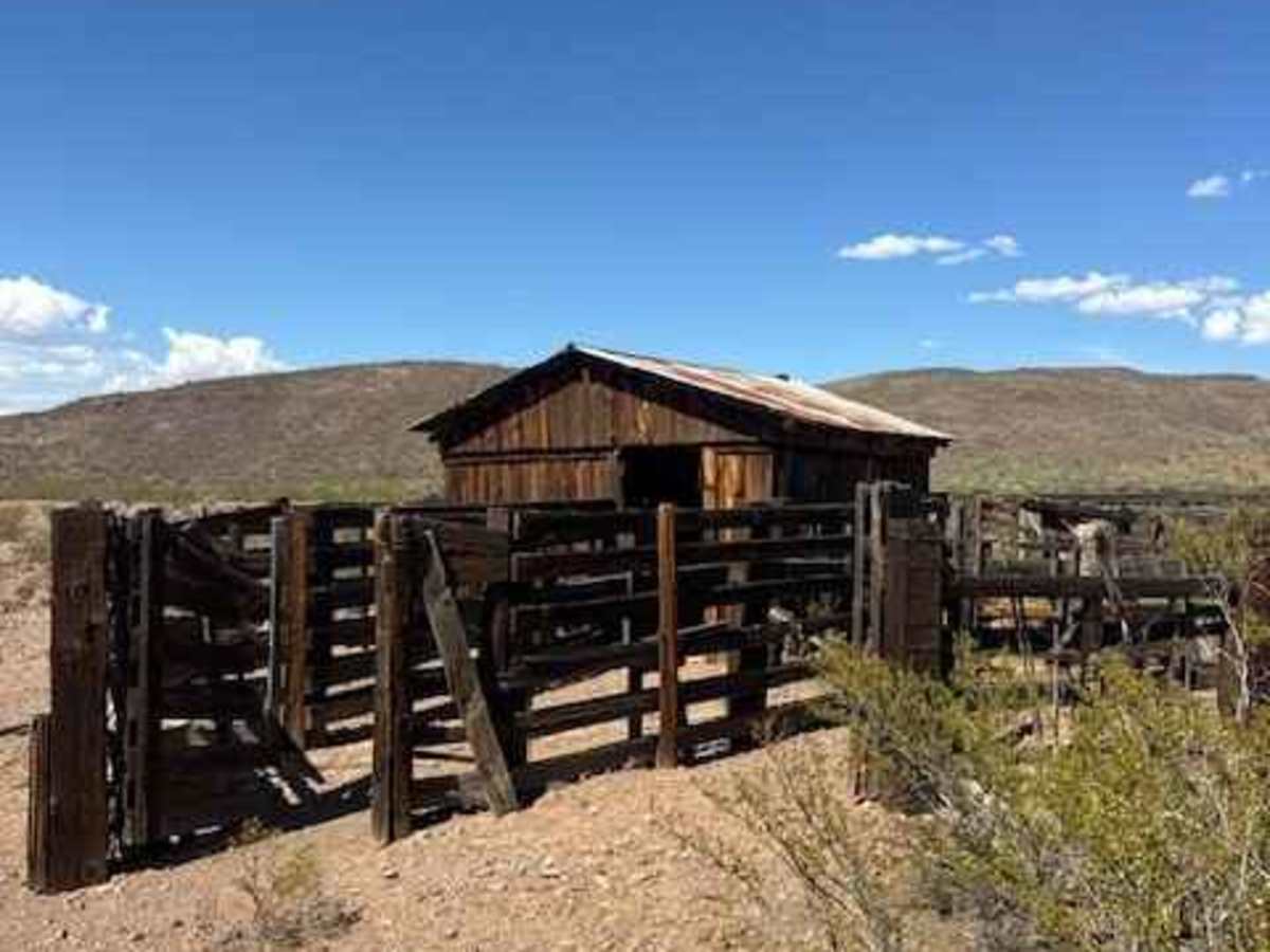 BLM PE1124 photo 2