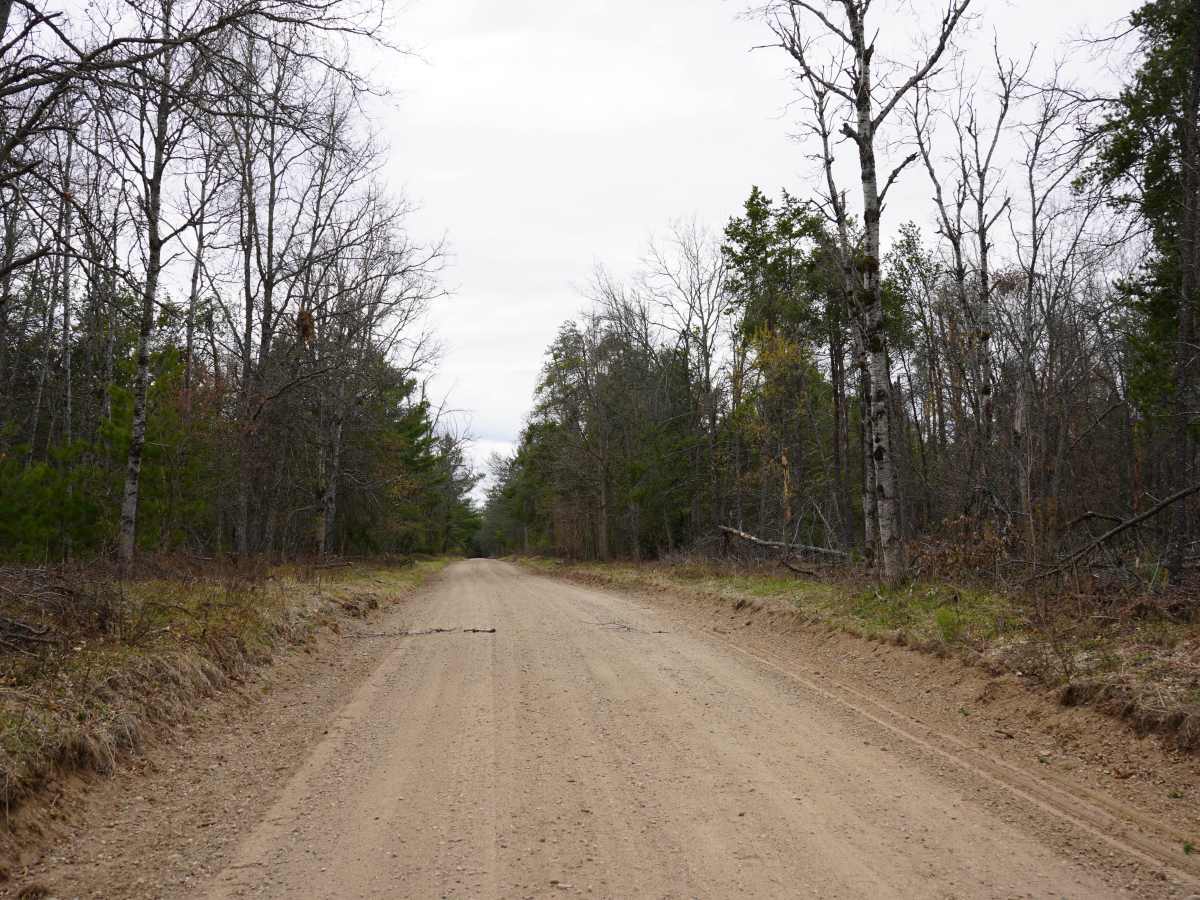 Sunrise Road - FS 4159 photo 6