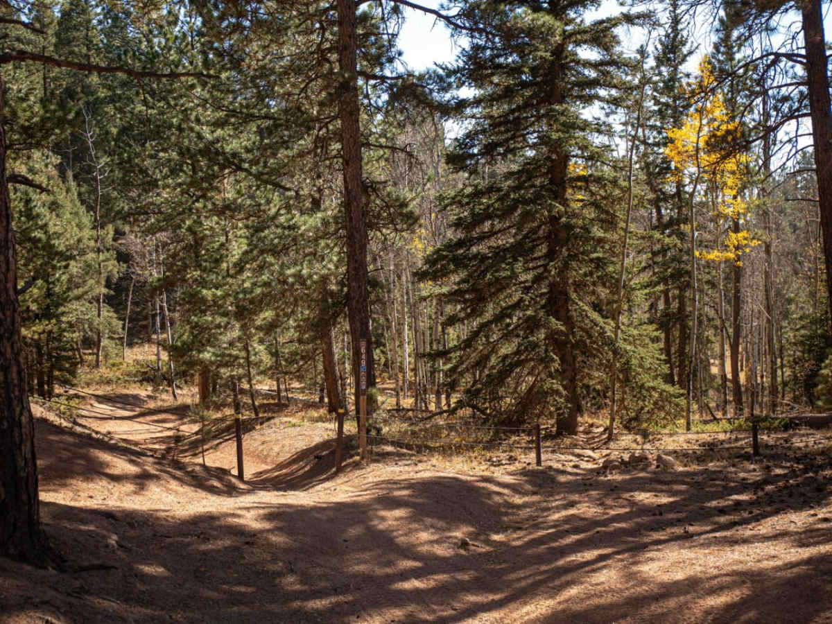 Trout Creek (FS 649) photo 4