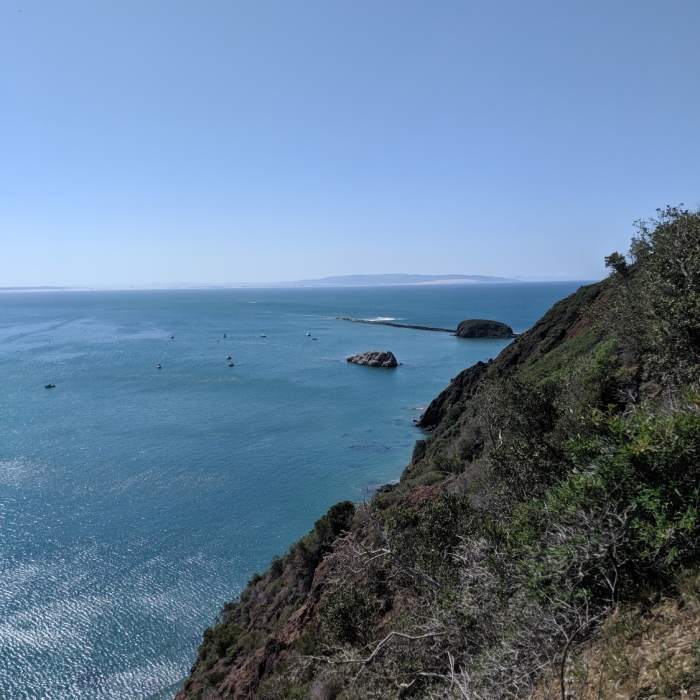 Near Pecho Coast Trail