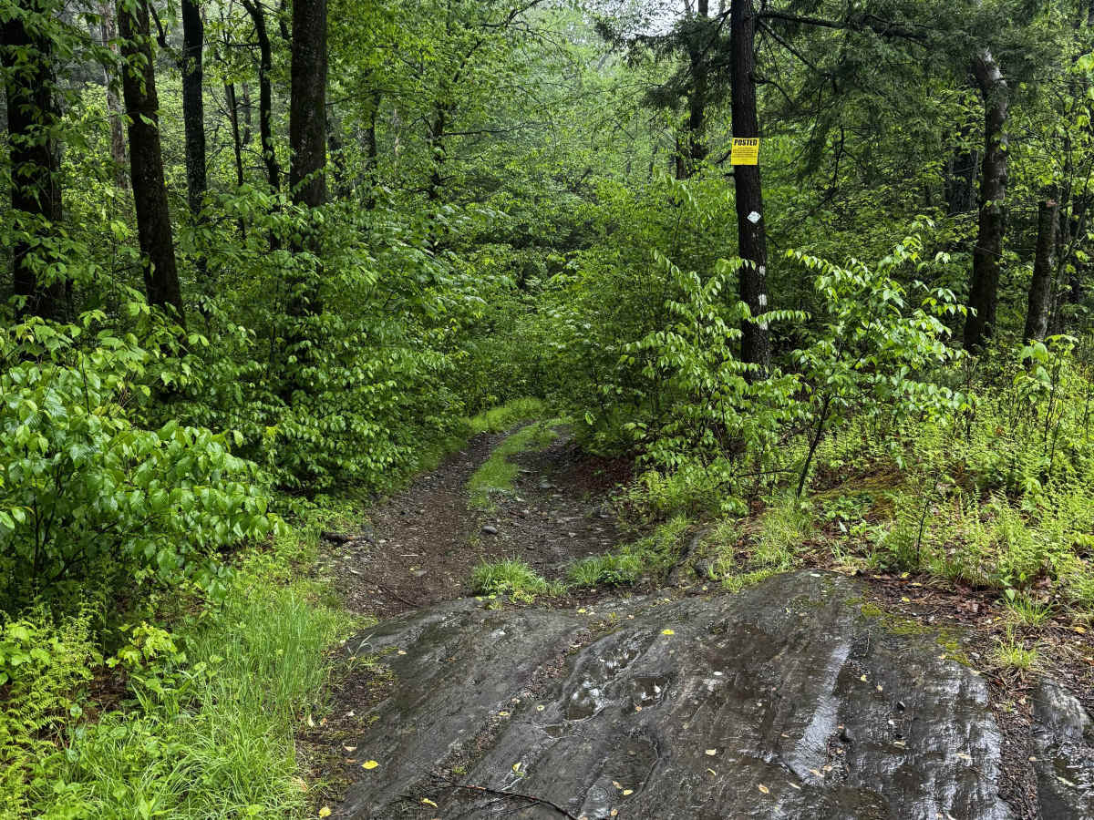 Charles Farnum Road photo 3