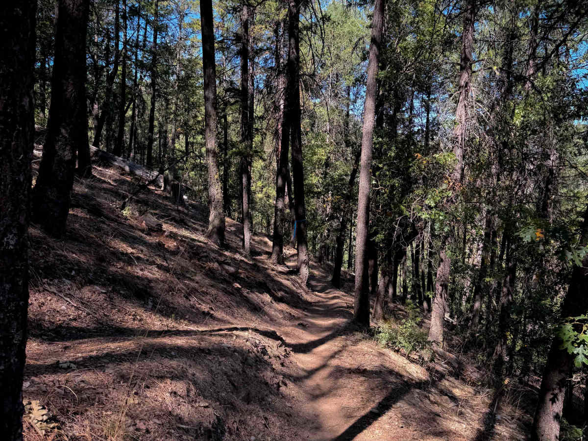 Huffleberry photo 3