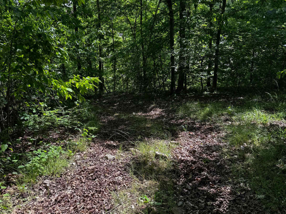Hillside 70 trail photo