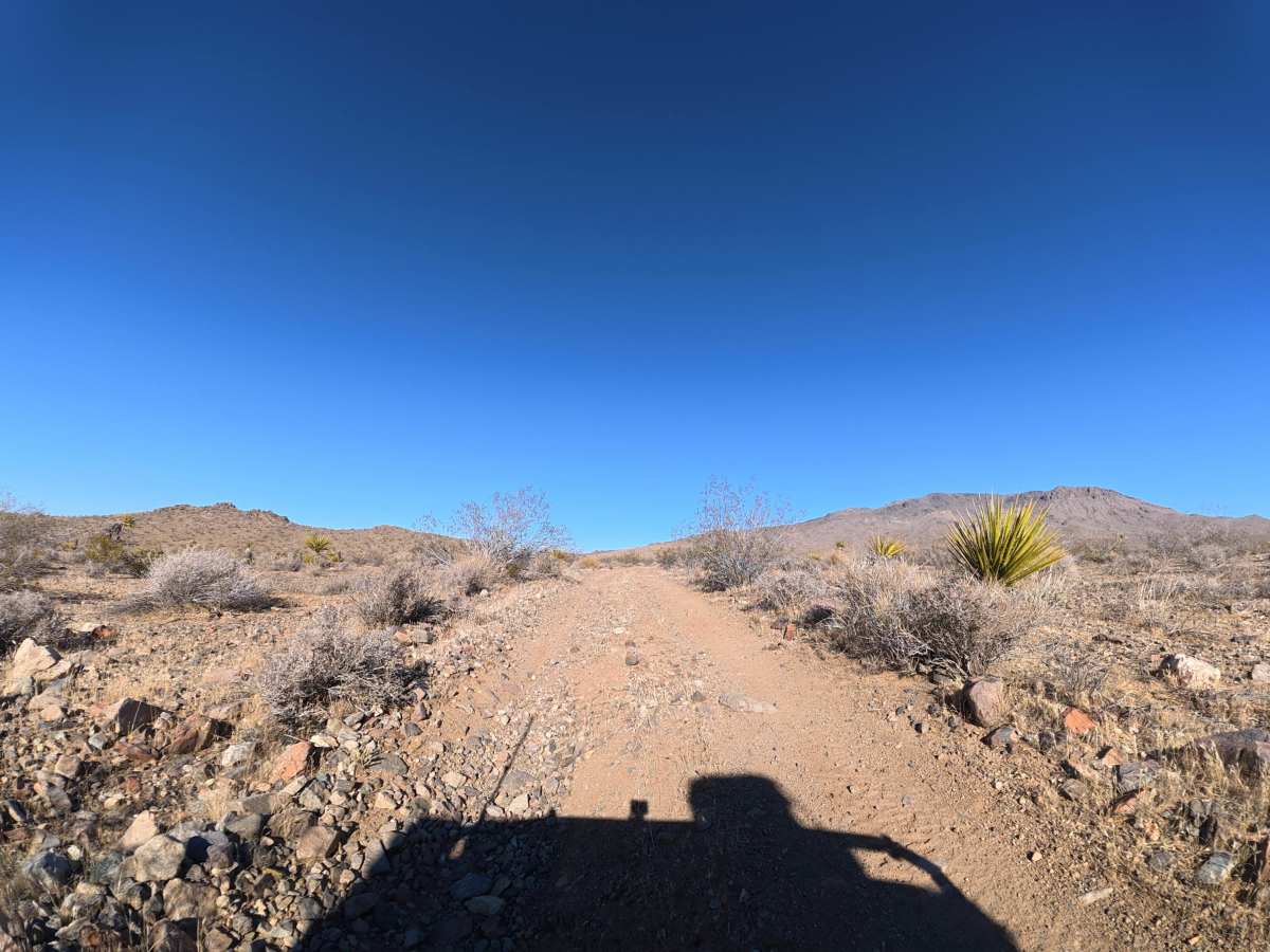 BLM 0M6630 photo 4