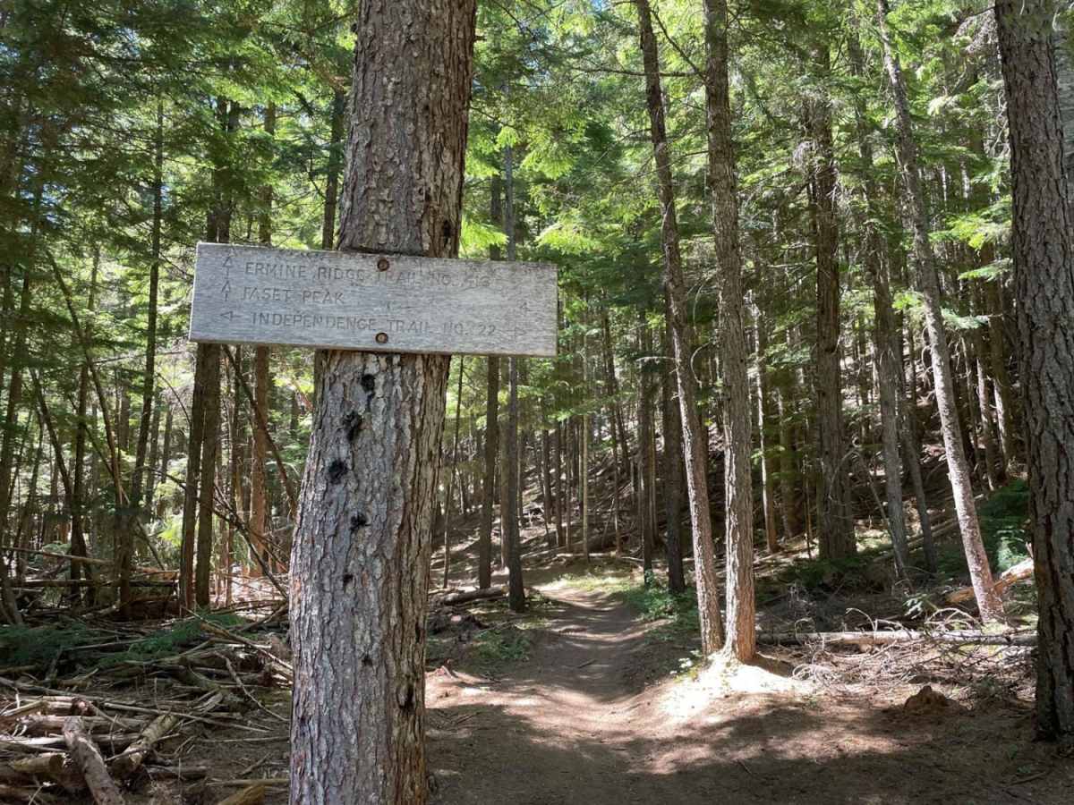 Ermine Ridge photo 5
