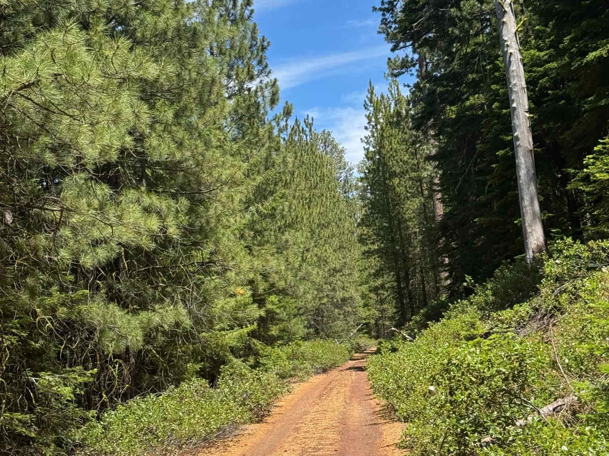 Black Butte North - FS 1110-700 photo 2