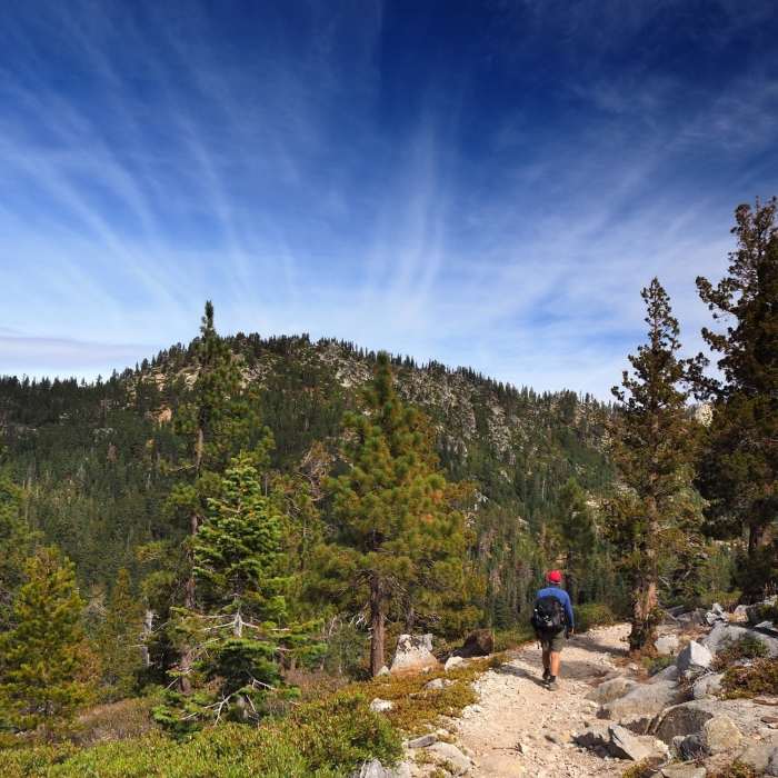 Near TYT: Meeks Bay Trail