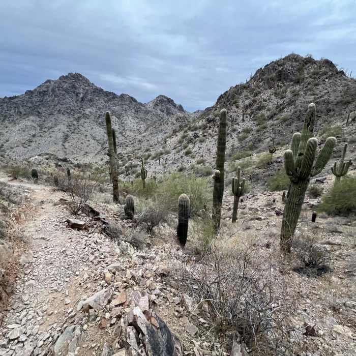 Near Piestewa Peak via 32nd Street