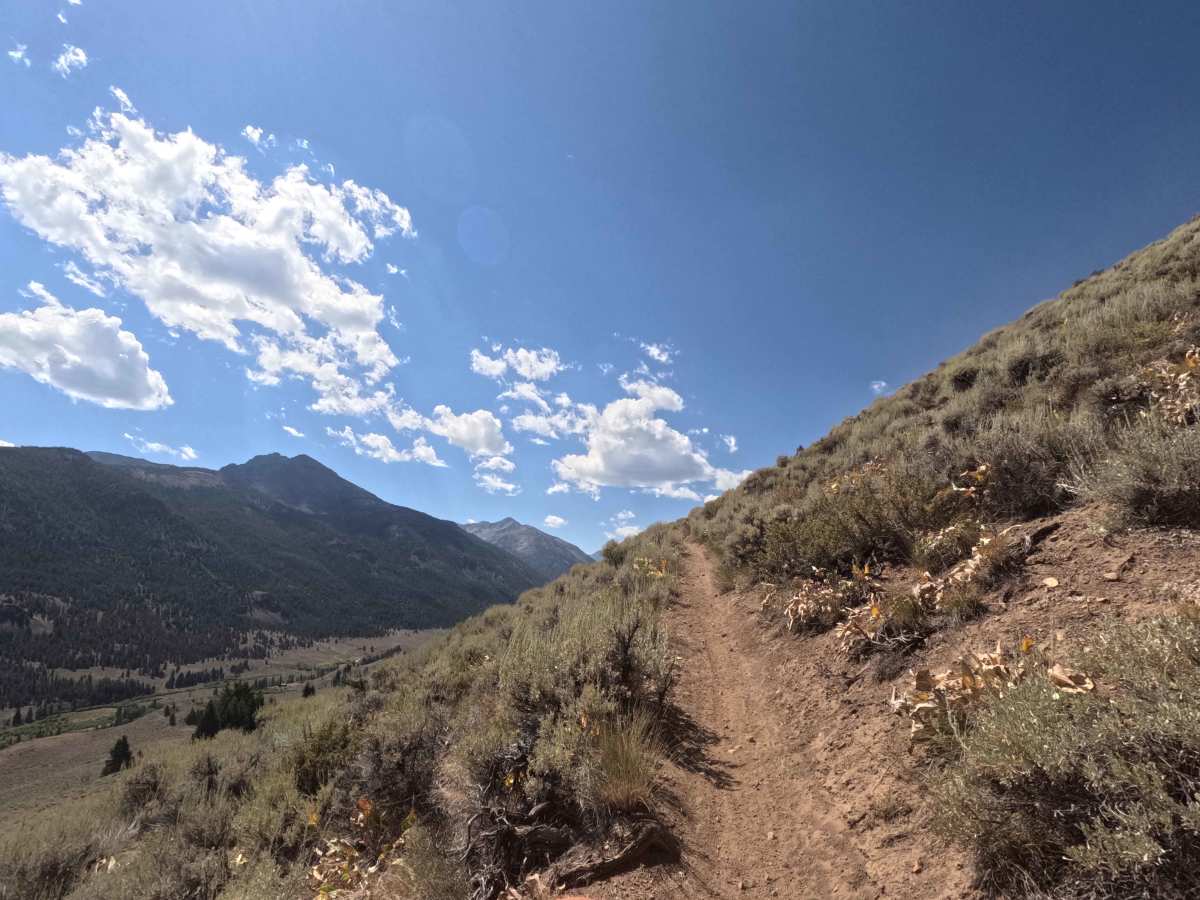 Bowery - FS 7114 trail photo