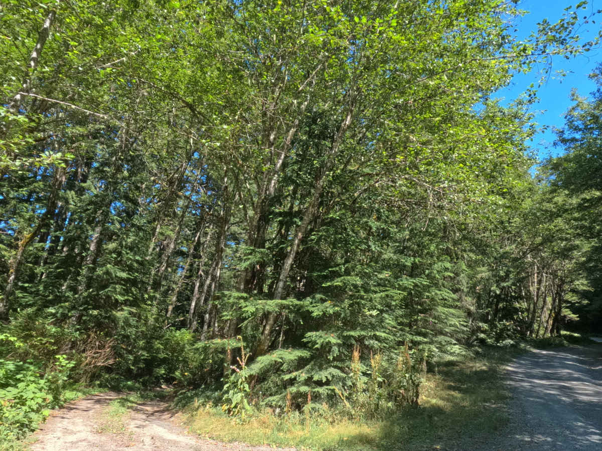 FS 4613130 photo 2