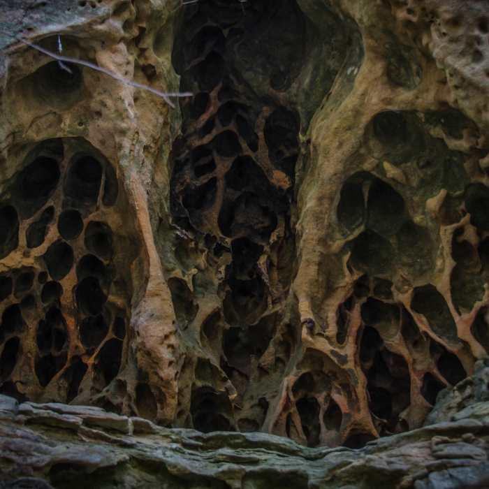 Near Little Grand Canyon Loop