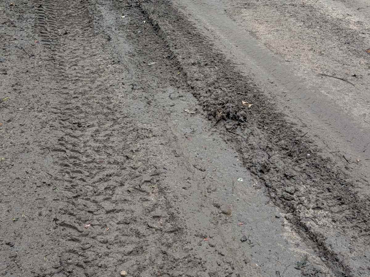 Tower Hill Truck Trail photo 3