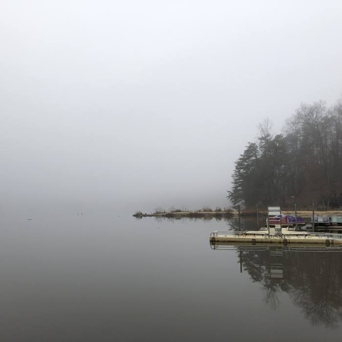 Misty morning by the lake. Near Wakefield/Accotink Loop