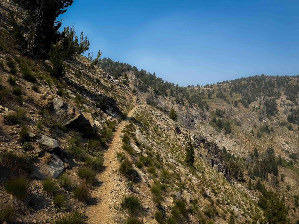 Summit Trail trail photo
