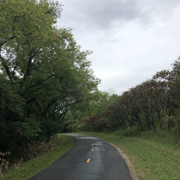 Shared hiking and cycling trail. Near Mud Lake Loop