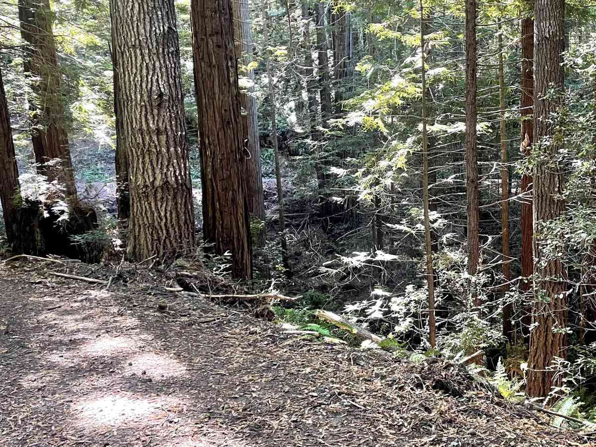 Mendocino County Road 500 photo 2