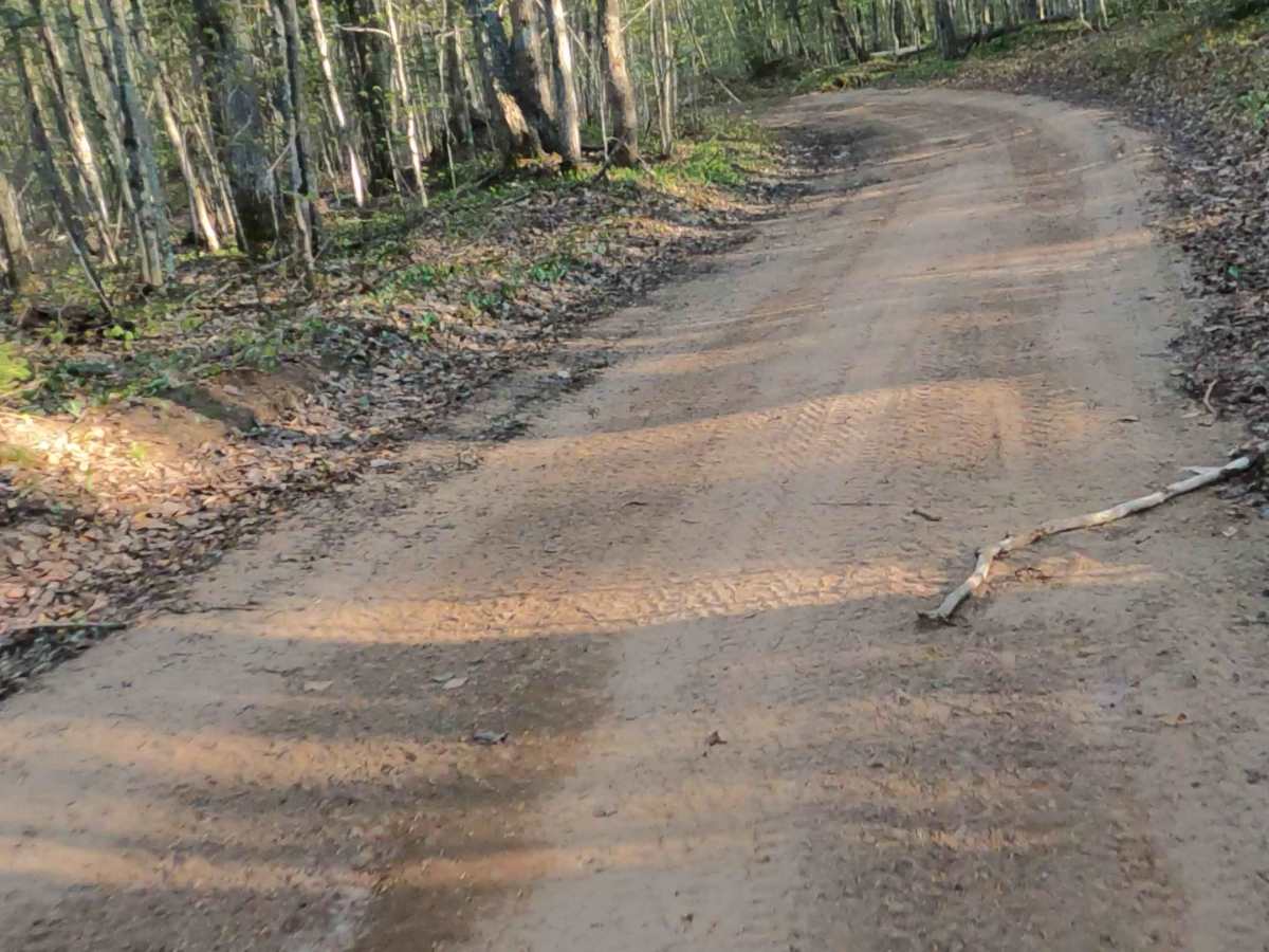 North Fox Hound Road photo 4