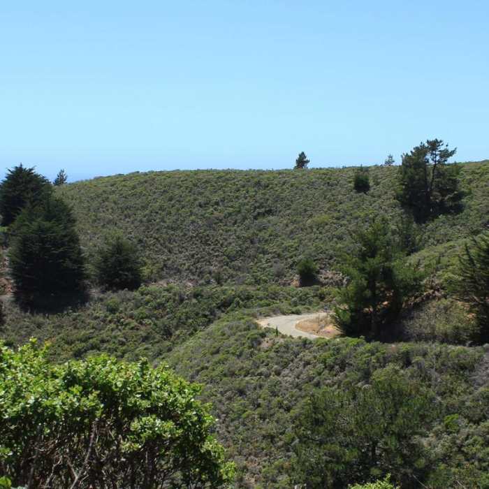 Near Old Pedro Mountain Road