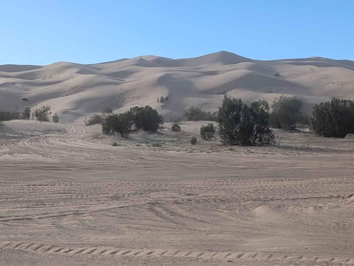The Sand Highway photo 6