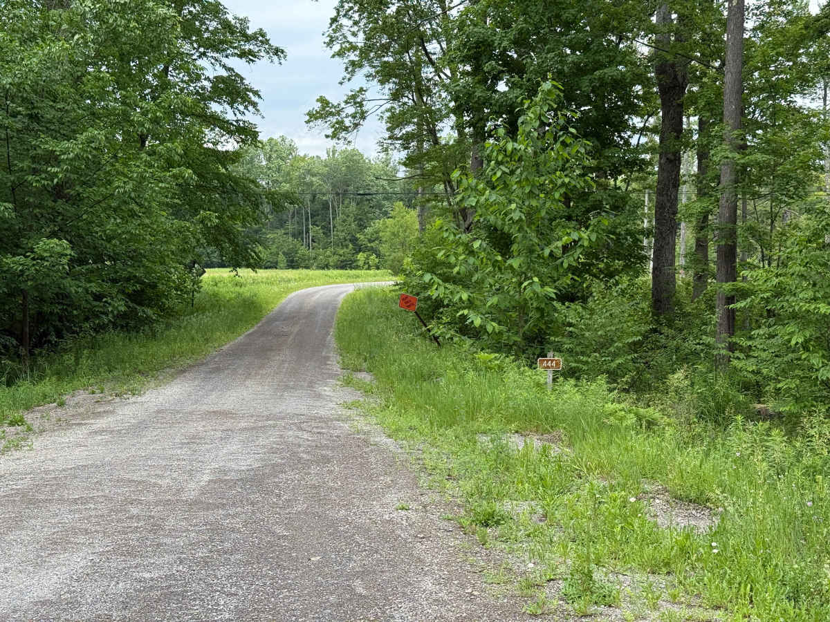 Iron Run - FS 444 trail photo