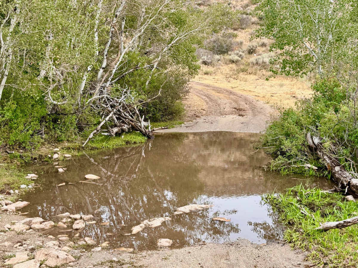 Horse Creek - FS 57506 photo 2